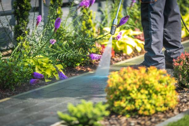 Best Parking Lot and Garage Cleaning  in Seneca, KS